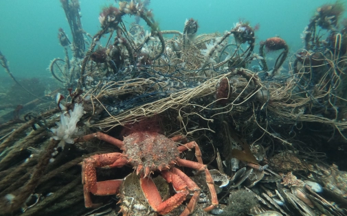 Les opérations de propreté sur le port de Saint-Malo