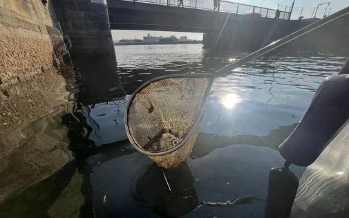 Les opérations de propreté sur le port de Saint-Malo