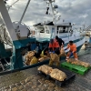 Escale Bretagne - Off du Rhum