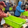 Concours d'ouverture de coquilles Saint-Jacques