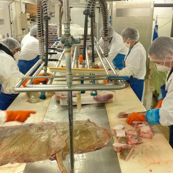 Visites commentées de l'Atelier des Paniers de la Mer à Saint-Malo