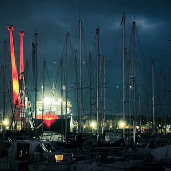 Illumination de grues