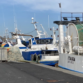 Futur port de pêche