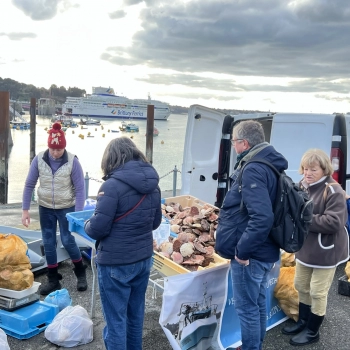 Vente directe de coquilles Saint-Jacques