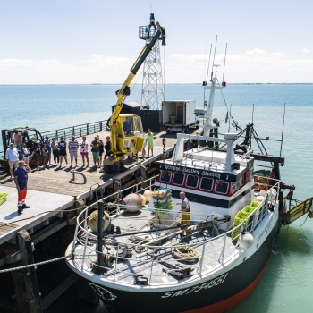 Port de Pêche de Cancale