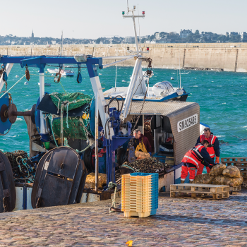 Une activité variée